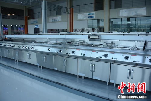 智慧引領未來 山東小城如何以創新廚具衛具征服全球廚房